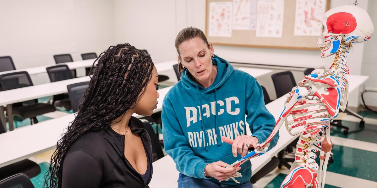 Kinesiology professor showing bones in a prop skeleton to a student