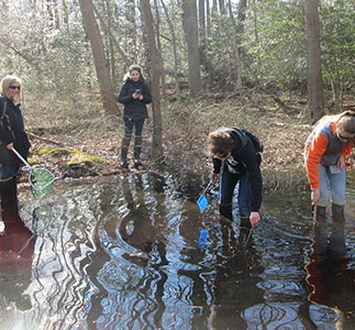 Students participating in vernal pond study.