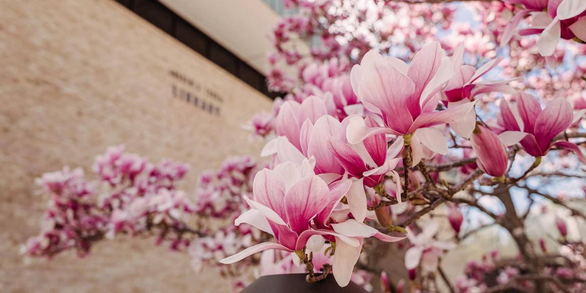  Instructional Support Center 