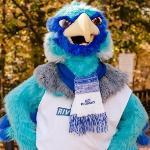 AACC mascot, Swoop, during the fall term.